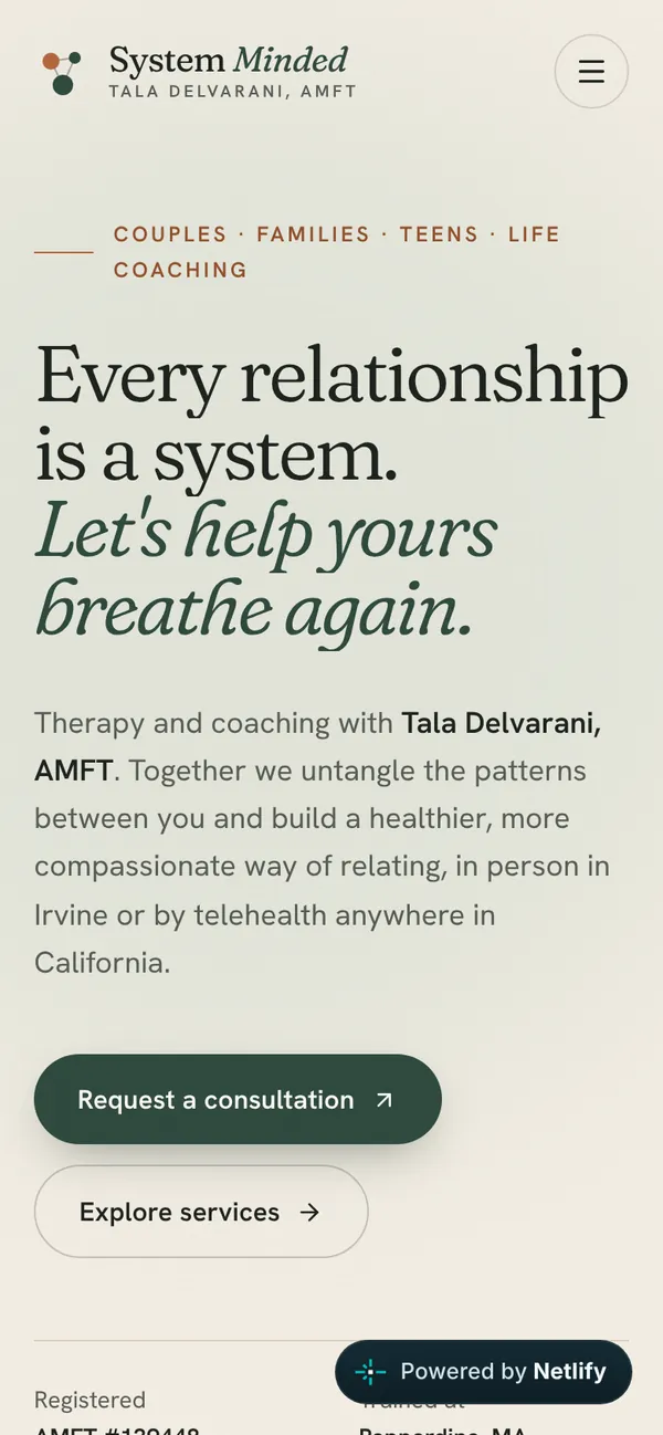 System Minded homepage on a phone